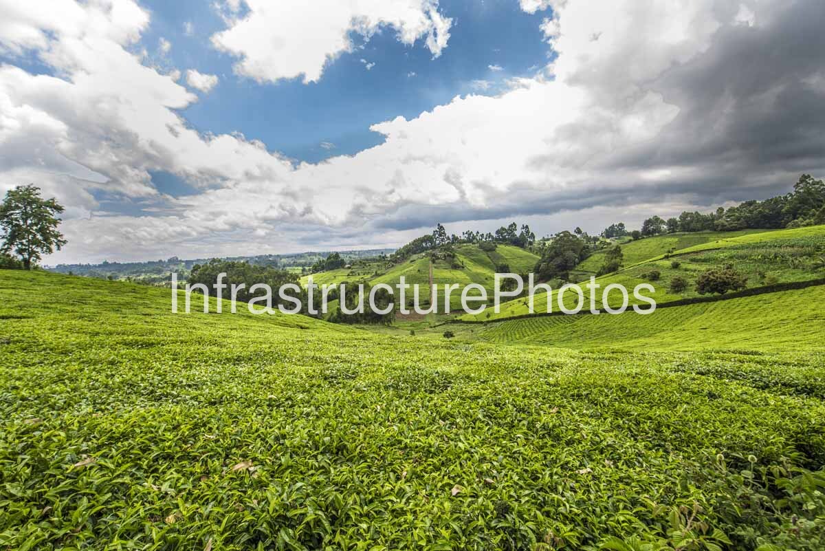 Kenya-Tea-Plantations_15_11_44-2-1-preview Infrastructure photo preview - watermarked