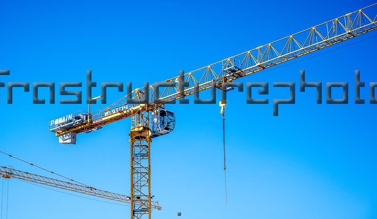 Discovery Place Cranes