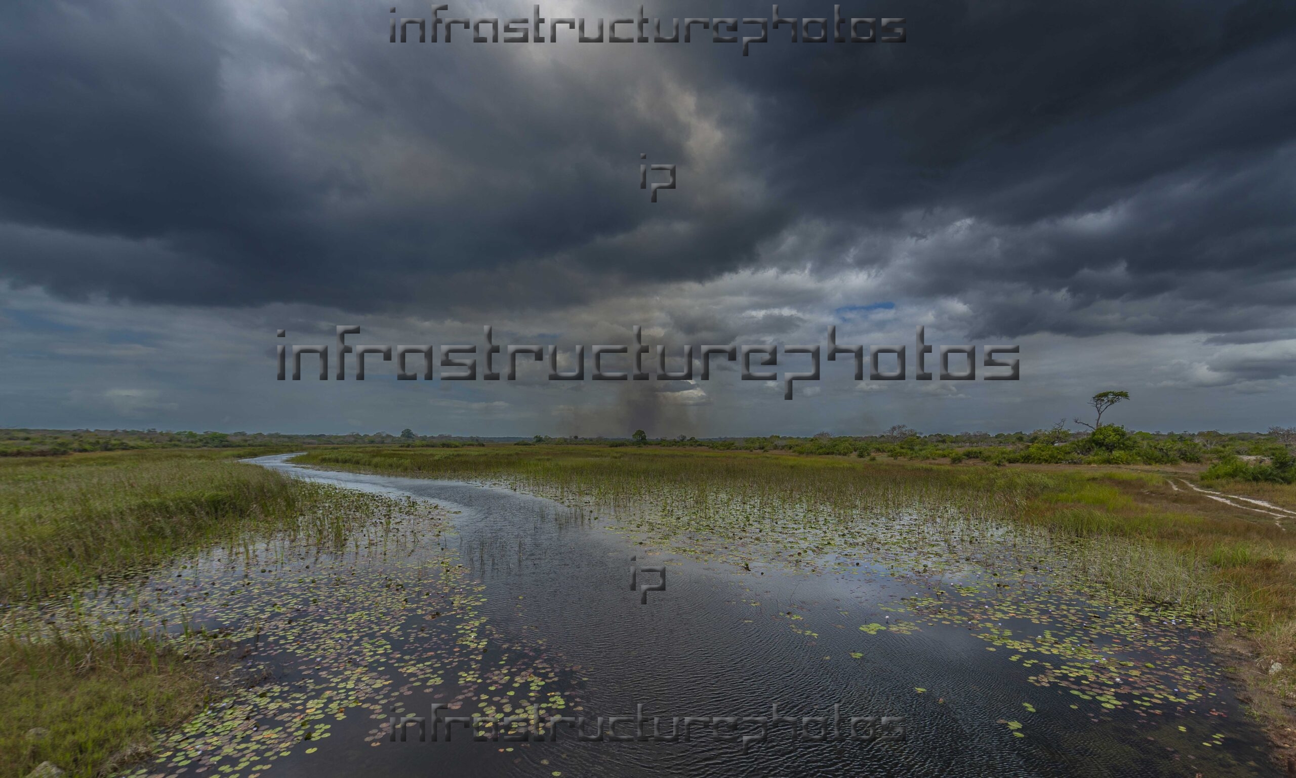 Swamp before the storm