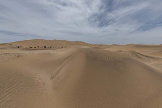 Desert in the Dorob National Park