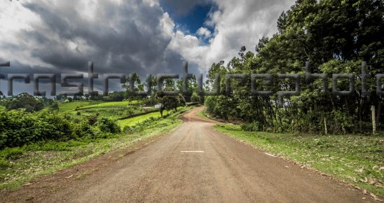 Kenya Tea Plantations